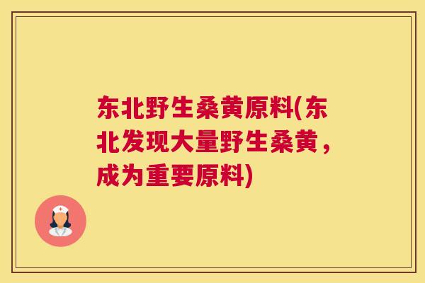 东北野生桑黄原料(东北发现大量野生桑黄,成为重要原料) 东北野生桑黄原料(东北发现大量野生桑黄,成为重要原料)