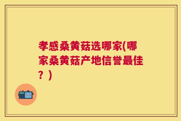 孝感桑黄菇选哪家(哪家桑黄菇产地信誉佳?) 孝感桑黄菇选哪家(哪家桑黄菇产地信誉佳?)