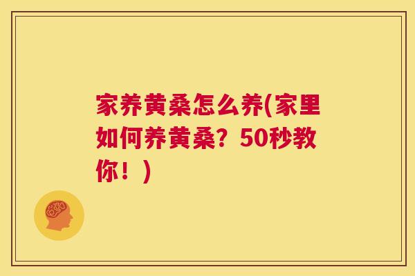 家养黄桑怎么养(家里如何养黄桑?50秒教你!) 家养黄桑怎么养(家里如何养黄桑?50秒教你!)