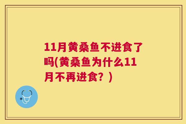 11月黄桑鱼不进食了吗(黄桑鱼为什么11月不再进食？)