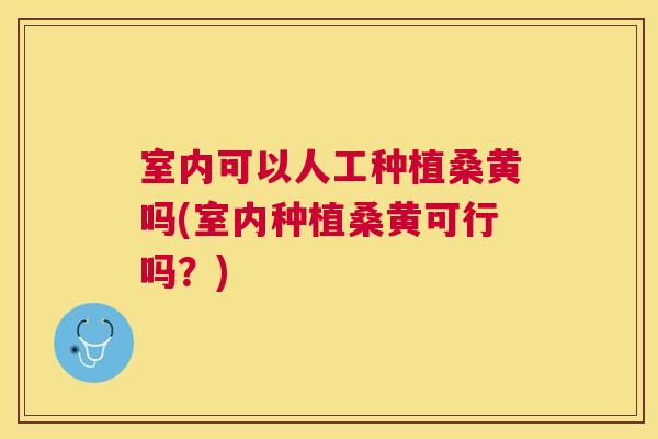 室内可以人工种植桑黄吗(室内种植桑黄可行吗?) 室内可以人工种植桑黄吗(室内种植桑黄可行吗?)