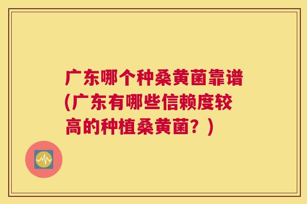 广东哪个种桑黄菌靠谱(广东有哪些信赖度较高的种植桑黄菌?) 广东哪个种桑黄菌靠谱(广东有哪些信赖度较高的种植桑黄菌?)