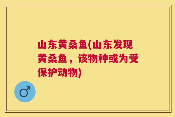 山东黄桑鱼(山东发现黄桑鱼,该物种或为受保护动物) 山东黄桑鱼(山东发现黄桑鱼,该物种或为受保护动物)