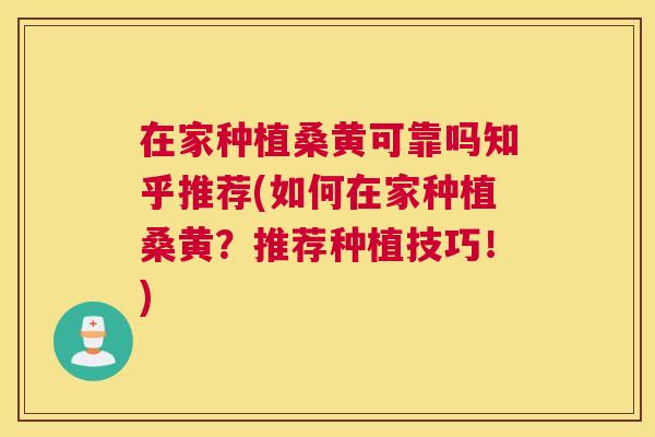 在家种植桑黄可靠吗知乎推荐(如何在家种植桑黄?推荐种植技巧!) 在家种植桑黄可靠吗知乎推荐(如何在家种植桑黄?推荐种植技巧!)