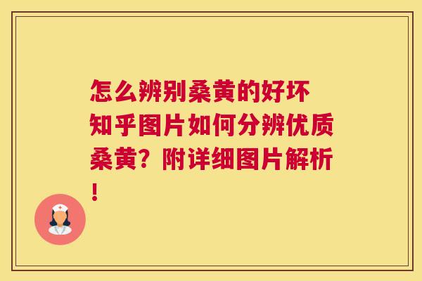 怎么辨别桑黄的好坏 知乎图片如何分辨优质桑黄?附详细图片解析! 怎么辨别桑黄的好坏 知乎图片如何分辨优质桑黄?附详细图片解析!