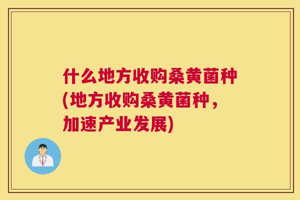 什么地方收购桑黄菌种(地方收购桑黄菌种,加速产业发展) 什么地方收购桑黄菌种(地方收购桑黄菌种,加速产业发展)