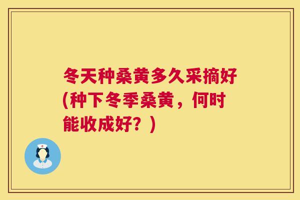冬天种桑黄多久采摘好(种下冬季桑黄,何时能收成好?) 冬天种桑黄多久采摘好(种下冬季桑黄,何时能收成好?)