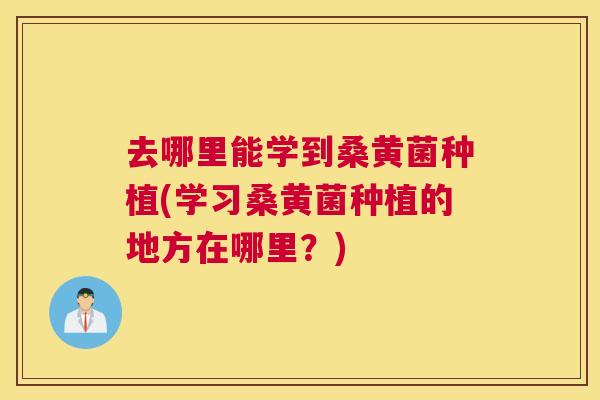 去哪里能学到桑黄菌种植(学习桑黄菌种植的地方在哪里?) 去哪里能学到桑黄菌种植(学习桑黄菌种植的地方在哪里?)