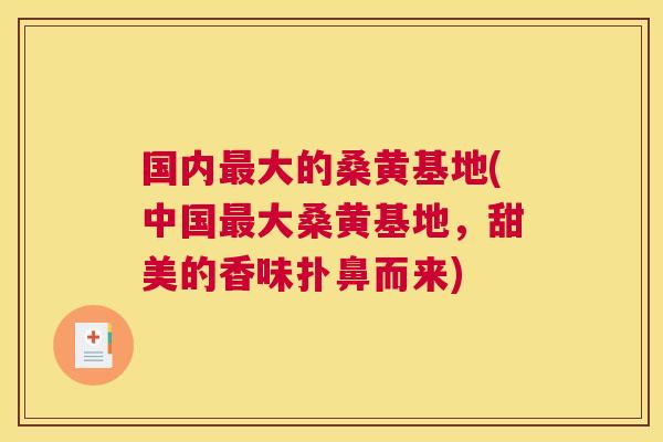 国内大的桑黄基地(中国大桑黄基地,甜美的香味扑鼻而来) 国内大的桑黄基地(中国大桑黄基地,甜美的香味扑鼻而来)