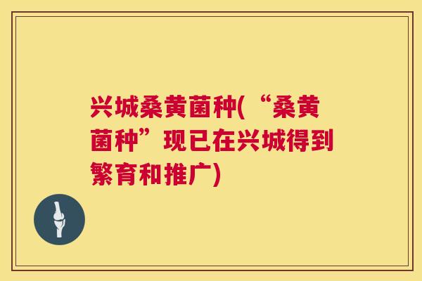 兴城桑黄菌种(“桑黄菌种”现已在兴城得到繁育和推广) 兴城桑黄菌种(“桑黄菌种”现已在兴城得到繁育和推广)