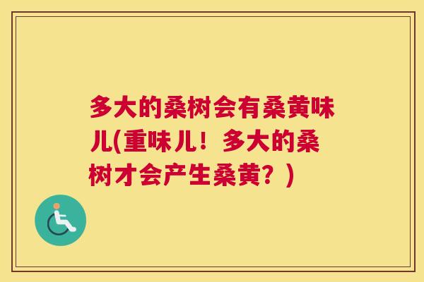多大的桑树会有桑黄味儿(重味儿!多大的桑树才会产生桑黄?) 多大的桑树会有桑黄味儿(重味儿!多大的桑树才会产生桑黄?)