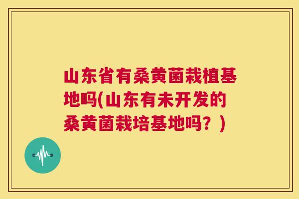 山东省有桑黄菌栽植基地吗(山东有未开发的桑黄菌栽培基地吗?) 山东省有桑黄菌栽植基地吗(山东有未开发的桑黄菌栽培基地吗?)