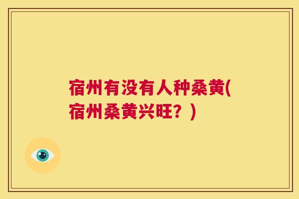 宿州有没有人种桑黄(宿州桑黄兴旺?) 宿州有没有人种桑黄(宿州桑黄兴旺?)