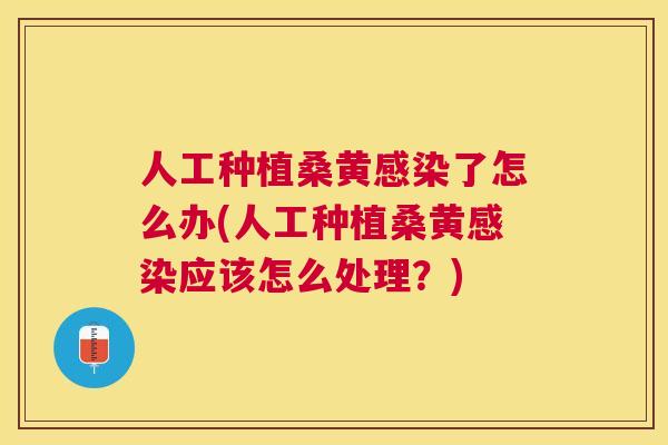 人工种植桑黄了怎么办(人工种植桑黄应该怎么处理?) 人工种植桑黄了怎么办(人工种植桑黄应该怎么处理?)