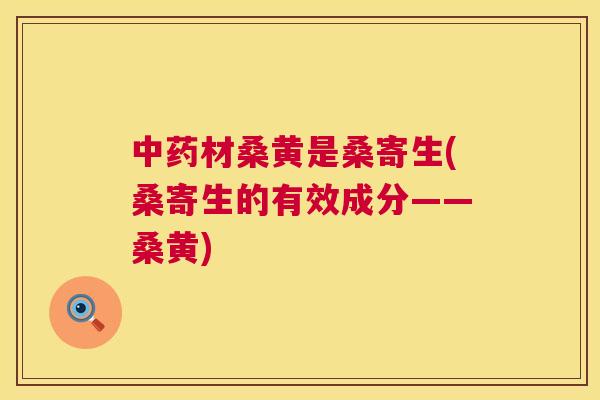 材桑黄是桑寄生(桑寄生的有效成分——桑黄) 材桑黄是桑寄生(桑寄生的有效成分——桑黄)