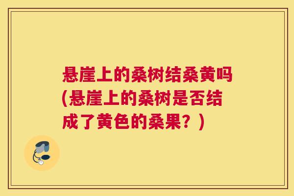 悬崖上的桑树结桑黄吗(悬崖上的桑树是否结成了黄色的桑果？)