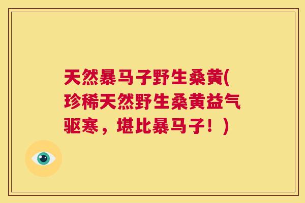 天然暴马子野生桑黄(珍稀天然野生桑黄益气驱寒,堪比暴马子!) 天然暴马子野生桑黄(珍稀天然野生桑黄益气驱寒,堪比暴马子!)