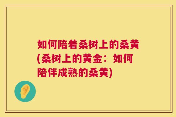 如何陪着桑树上的桑黄(桑树上的黄金:如何陪伴成熟的桑黄) 如何陪着桑树上的桑黄(桑树上的黄金:如何陪伴成熟的桑黄)