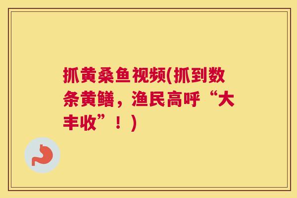 抓黄桑鱼视频(抓到数条黄鳝,渔民高呼“大丰收”!) 抓黄桑鱼视频(抓到数条黄鳝,渔民高呼“大丰收”!)