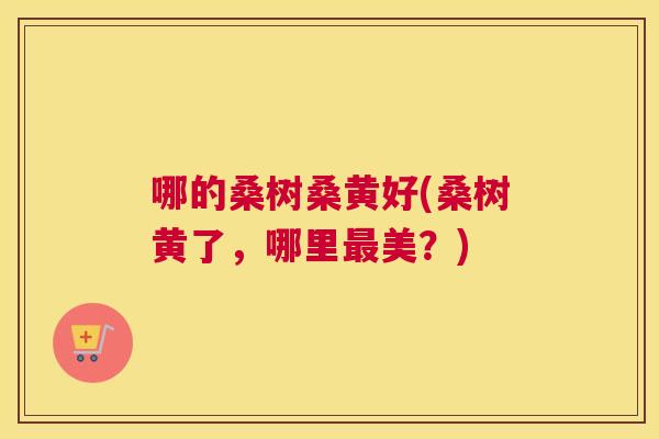 哪的桑树桑黄好(桑树黄了,哪里美?) 哪的桑树桑黄好(桑树黄了,哪里美?)