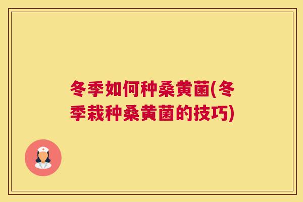 冬季如何种桑黄菌(冬季栽种桑黄菌的技巧) 冬季如何种桑黄菌(冬季栽种桑黄菌的技巧)