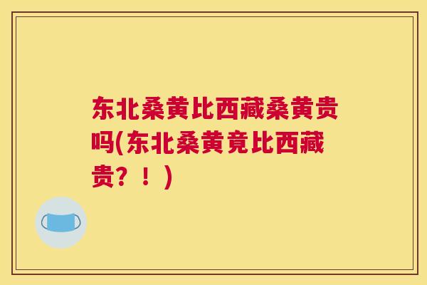 东北桑黄比西藏桑黄贵吗(东北桑黄竟比西藏贵?!) 东北桑黄比西藏桑黄贵吗(东北桑黄竟比西藏贵?!)
