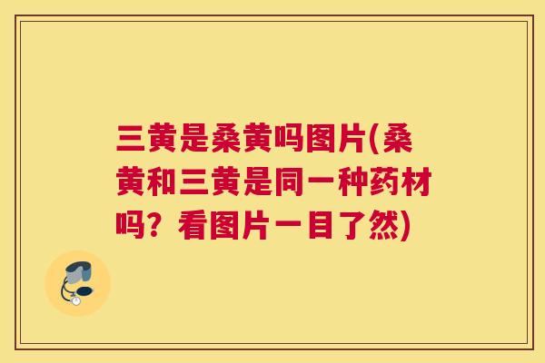 三黄是桑黄吗图片(桑黄和三黄是同一种药材吗?看图片一目了然) 三黄是桑黄吗图片(桑黄和三黄是同一种药材吗?看图片一目了然)