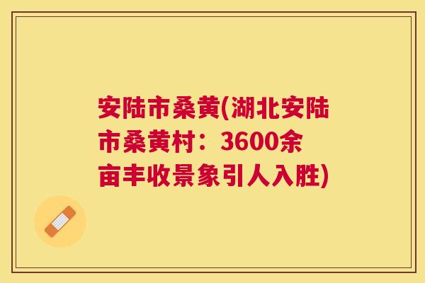 安陆市桑黄(湖北安陆市桑黄村:3600余亩丰收景象引人入胜) 安陆市桑黄(湖北安陆市桑黄村:3600余亩丰收景象引人入胜)