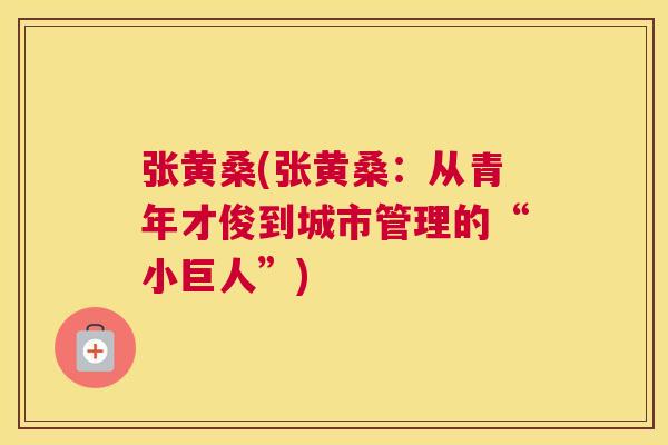 张黄桑(张黄桑:从青年才俊到城市管理的“小巨人”) 张黄桑(张黄桑:从青年才俊到城市管理的“小巨人”)