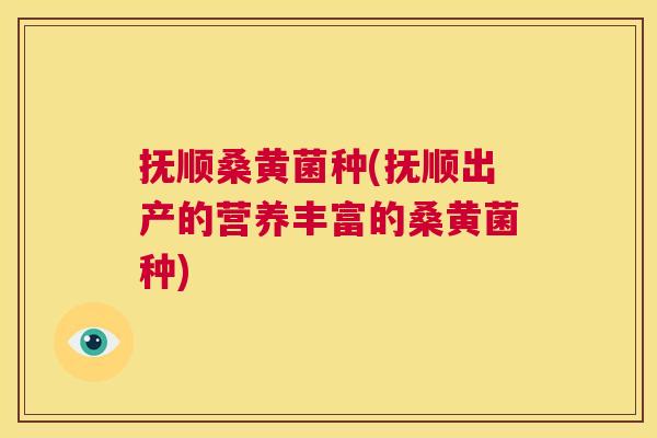 抚顺桑黄菌种(抚顺出产的营养丰富的桑黄菌种) 抚顺桑黄菌种(抚顺出产的营养丰富的桑黄菌种)