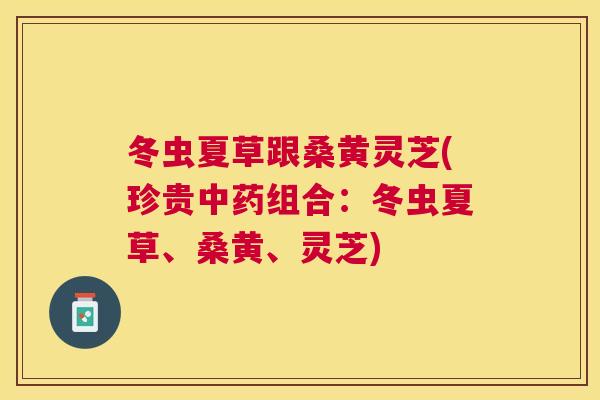 冬虫夏草跟桑黄灵芝(珍贵组合:冬虫夏草、桑黄、灵芝) 冬虫夏草跟桑黄灵芝(珍贵组合:冬虫夏草、桑黄、灵芝)