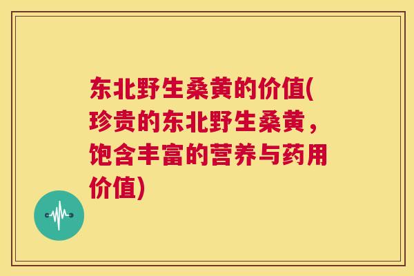 东北野生桑黄的价值(珍贵的东北野生桑黄,饱含丰富的营养与药用价值) 东北野生桑黄的价值(珍贵的东北野生桑黄,饱含丰富的营养与药用价值)
