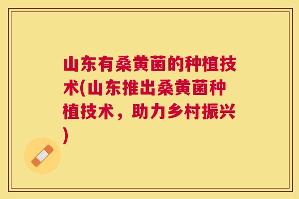 山东有桑黄菌的种植技术(山东推出桑黄菌种植技术,助力乡村振兴) 山东有桑黄菌的种植技术(山东推出桑黄菌种植技术,助力乡村振兴)