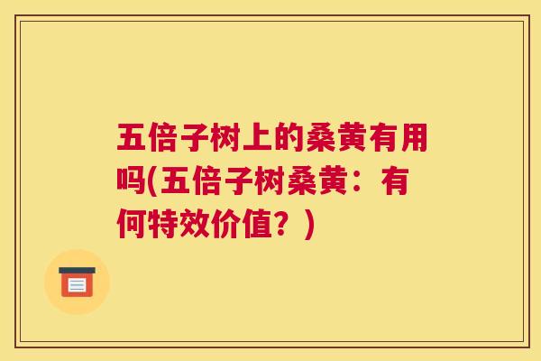 五倍子树上的桑黄有用吗(五倍子树桑黄：有何特效价值？)