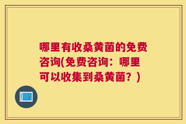 哪里有收桑黄菌的免费咨询(免费咨询:哪里可以收集到桑黄菌?) 哪里有收桑黄菌的免费咨询(免费咨询:哪里可以收集到桑黄菌?)