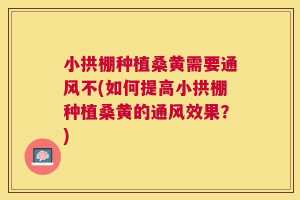 小拱棚种植桑黄需要通风不(如何提高小拱棚种植桑黄的通风效果？)