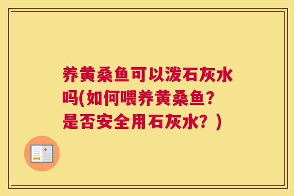 养黄桑鱼可以泼石灰水吗(如何喂养黄桑鱼?是否安全用石灰水?) 养黄桑鱼可以泼石灰水吗(如何喂养黄桑鱼?是否安全用石灰水?)