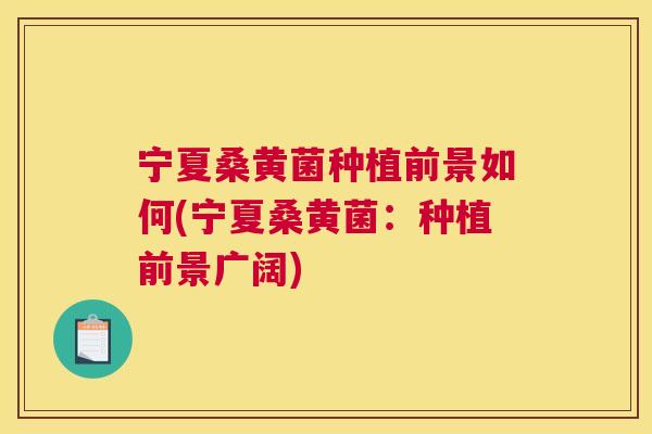 宁夏桑黄菌种植前景如何(宁夏桑黄菌：种植前景广阔)