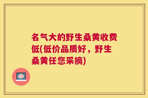 名气大的野生桑黄收费低(低价品质好,野生桑黄任您采摘) 名气大的野生桑黄收费低(低价品质好,野生桑黄任您采摘)