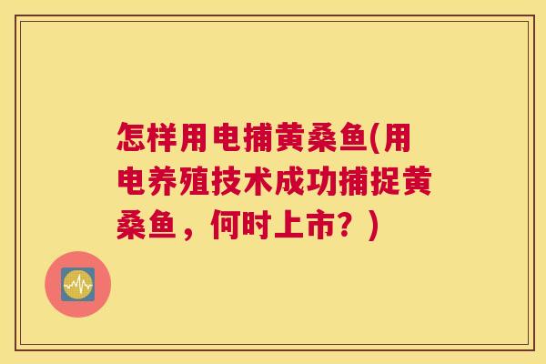 怎样用电捕黄桑鱼(用电养殖技术成功捕捉黄桑鱼,何时上市?) 怎样用电捕黄桑鱼(用电养殖技术成功捕捉黄桑鱼,何时上市?)