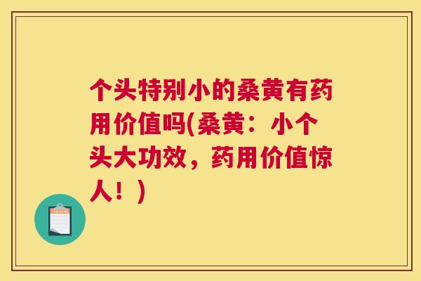 个头特别小的桑黄有药用价值吗(桑黄:小个头大功效,药用价值惊人!) 个头特别小的桑黄有药用价值吗(桑黄:小个头大功效,药用价值惊人!)