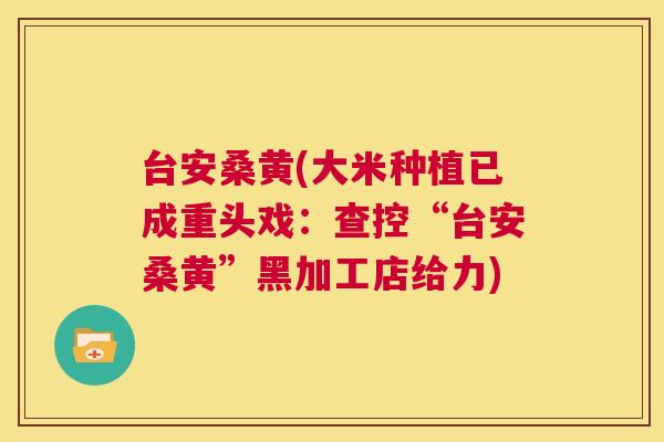 台安桑黄(大米种植已成重头戏:查控“台安桑黄”黑加工店给力) 台安桑黄(大米种植已成重头戏:查控“台安桑黄”黑加工店给力)