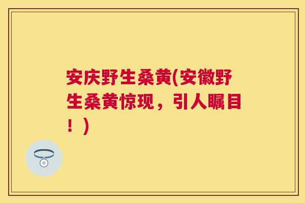 安庆野生桑黄(安徽野生桑黄惊现,引人瞩目!) 安庆野生桑黄(安徽野生桑黄惊现,引人瞩目!)