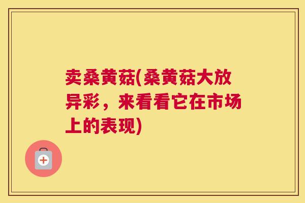 卖桑黄菇(桑黄菇大放异彩,来看看它在市场上的表现) 卖桑黄菇(桑黄菇大放异彩,来看看它在市场上的表现)