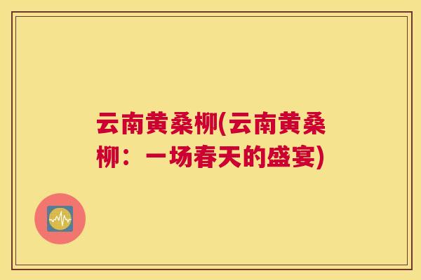 云南黄桑柳(云南黄桑柳:一场春天的盛宴) 云南黄桑柳(云南黄桑柳:一场春天的盛宴)