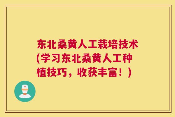 东北桑黄人工栽培技术(学习东北桑黄人工种植技巧,收获丰富!) 东北桑黄人工栽培技术(学习东北桑黄人工种植技巧,收获丰富!)