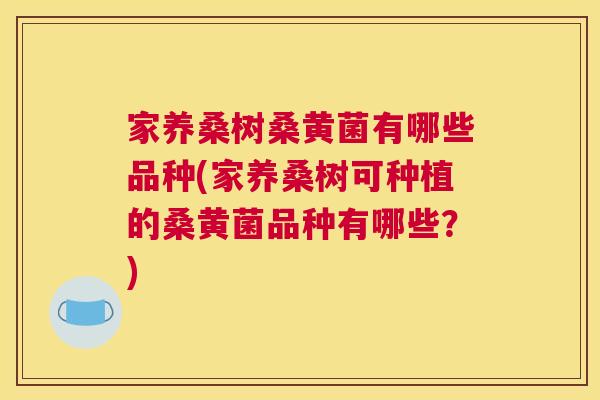 家养桑树桑黄菌有哪些品种(家养桑树可种植的桑黄菌品种有哪些?) 家养桑树桑黄菌有哪些品种(家养桑树可种植的桑黄菌品种有哪些?)