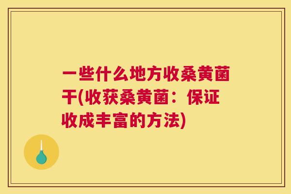 一些什么地方收桑黄菌干(收获桑黄菌:保证收成丰富的方法) 一些什么地方收桑黄菌干(收获桑黄菌:保证收成丰富的方法)