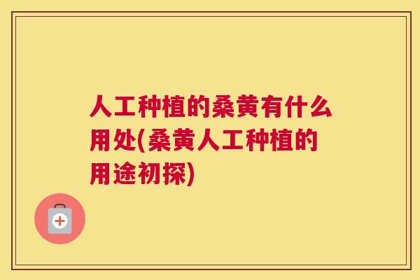 人工种植的桑黄有什么用处(桑黄人工种植的用途初探) 人工种植的桑黄有什么用处(桑黄人工种植的用途初探)