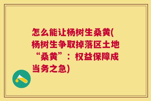怎么能让杨树生桑黄(杨树生争取掉落区土地“桑黄”：权益保障成当务之急)